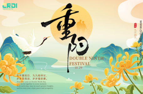 Double Ninth Festival: Honor Tradition & Grab Deals on A2C96176300 & A2C53344441 CRDI Pumps