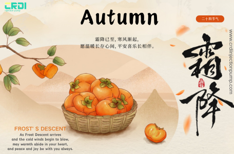 Frost Season Deals for A2C0003282 & A2C59517045 CRDI Injection Pumps