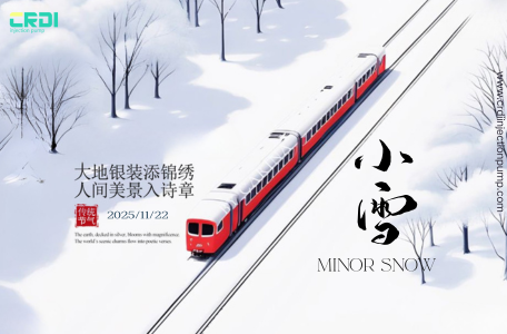 A2C0003282 & A2C96443200 CRDI Injection Pumps Warms Your Journeys on Minor Snow