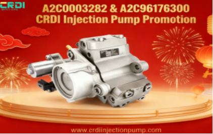 2026 New Year A2C0003282 & A2C96176300 CRDI Injection Pump Carnival Season