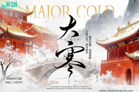 A2C0003282 & A2C96176300 CRDI Injection Pump Blog